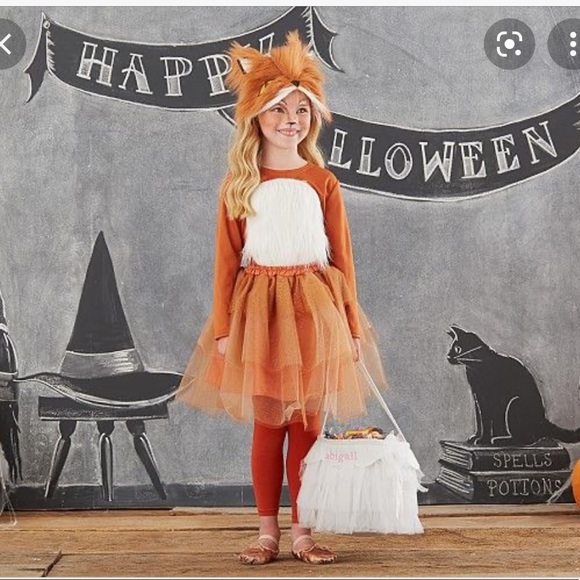 Pottery Barn Kids Other - Pottery Barn Kids fox costume